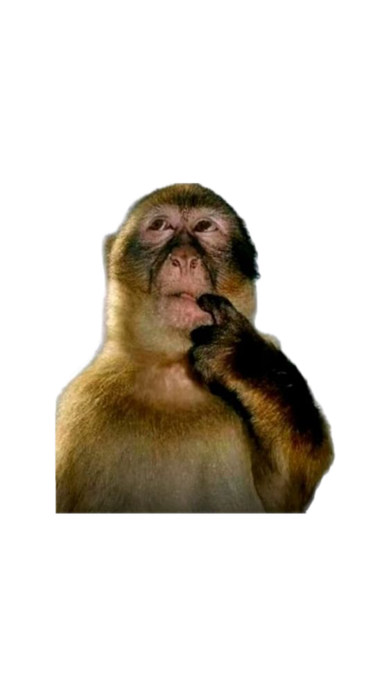 A thoughtful monkey sticker